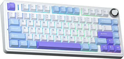 Aula F75 Pro Hot-swap 80 Keys Gasket mount